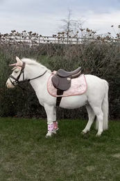 Kentucky Horsewear Schabracke Unicorn Glitter Rosa für Warmblut aus Baumwolle – Bild 1 von 2