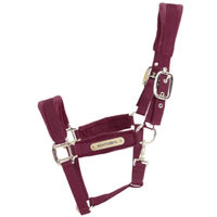 Produktbild von Kentucky Horsewear Shetland Pony Halfter aus Nylon mit Samtbesatz in Rot
