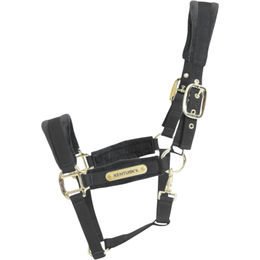 Kentucky Horsewear Shetland Pony Stallhalfter Velvet aus Nylon in Schwarz – Bild 1 von 3