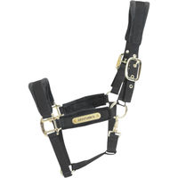 Produktbild von Kentucky Horsewear Shetland Pony Stallhalfter Velvet aus Nylon in Schwarz
