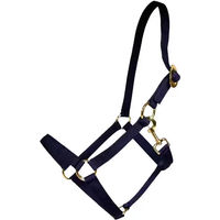 Produktbild von Kentucky Horsewear Shetty Halfter aus Nylon in Blau oder Gold