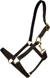 Produktbild von Kentucky Horsewear Shetty Halfter aus Nylon in Schwarz oder Gold