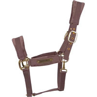 Produktbild von Kentucky Horsewear Shetty Pferdehalfter aus Nylon in Lila