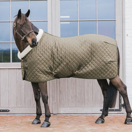 Kentucky Horsewear Show Decke für Pferde 160g aus Polyester – Bild 1 von 13