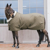 Produktbild von Kentucky Horsewear Show Decke für Pferde 160g
