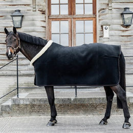 Kentucky Horsewear Show Heavy Schweißdecke für Pferde Schwarz 130 – Bild 1 von 7