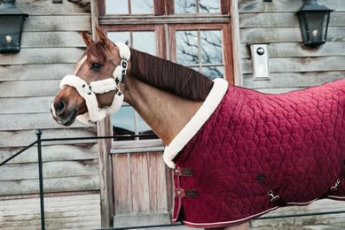 Kentucky Horsewear Show Rug Velvet Turnierdecke für Pferde Bordeaux Rot 145 cm – Bild 1 von 10