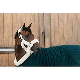 Kentucky Horsewear Showdecke für Pferde Dunkelgrün 155 cm aus Polyester – Bild 1 von 9