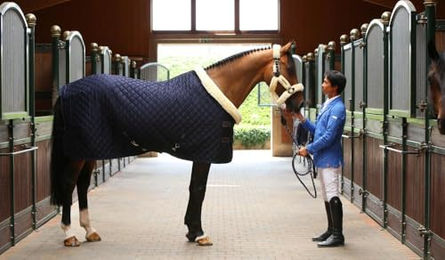 Kentucky Horsewear Showdecke für Pferde Marineblau 155 cm – Bild 1 von 13