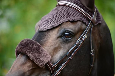Kentucky Horsewear Soundless Fliegenmütze aus Neopren für Warmblut in Braun – Bild 1 von 8