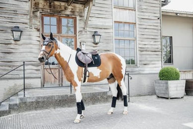 Kentucky Horsewear Springschabracke Velvet Pearls in Schwarz für Warmblut Pferde – Bild 1 von 8