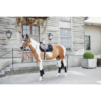 Produktbild von Kentucky Horsewear Springschabracke Velvet Pearls in Schwarz für Warmblut Pferde