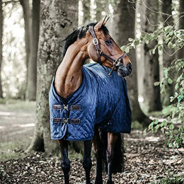 Kentucky Horsewear Stalldecke 0g 145cm Navy Blau – Bild 1 von 13