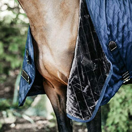 Kentucky Horsewear Stalldecke 0g für Pferde Navy Blau 125 cm – Bild 1 von 13