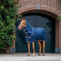 Produktbild von Kentucky Horsewear Stalldecke aus Polyester für Pferde in Blau Grau oder Silber