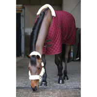 Produktbild von Kentucky Horsewear Stalldecke für Pferde aus Polyester mit 125g Füllung