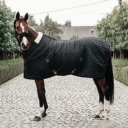 Kentucky Horsewear Stalldecke für Pferde mit 400g Füllung in Schwarz 155cm - 400 g – Bild 1 von 13