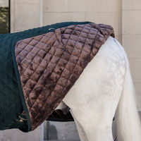 Produktbild von Kentucky Horsewear Stalldecke mit künstlichem Kaninchenfell 400g Größe 140 Grün