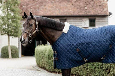 Kentucky Horsewear Stalldecke Skinfriendly mit 200g Füllung in Blau – Bild 1 von 6