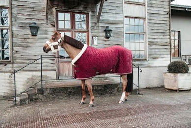 Kentucky Horsewear Stalldecke Velvet Rot 160g – Bild 1 von 9