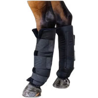 Produktbild von Kentucky Horsewear Stallgamaschen PROtect Classic Schwarz für Pferde