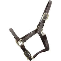 Produktbild von Kentucky Horsewear Stallhalfter aus geflochtenem Nylon in Grau