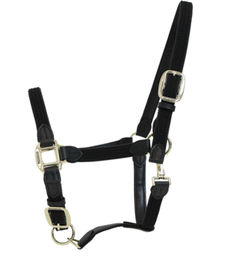 Kentucky Horsewear Stallhalfter aus geflochtenem Nylon in Schwarz mit Gold – Bild 1 von 8