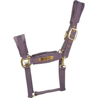 Produktbild von Kentucky Horsewear Stallhalfter aus Nylon für Pferde in Lila
