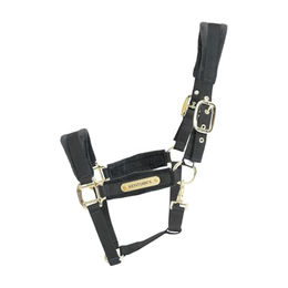 Kentucky Horsewear Stallhalfter Velvet in Schwarz mit Gold für Vollblut – Bild 1 von 5