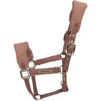 Produktbild von Kentucky Horsewear Teddy Fleece Halfter aus Nylon in Altrosa mit Goldakzenten für Pferde