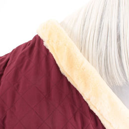Kentucky Horsewear Turnierdecke für Pferde in Rot mit 160g Füllung – Bild 1 von 13