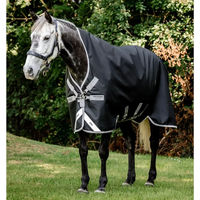 Produktbild von Kentucky Horsewear Turnout Decke für Pferde Schwarz Grau Silber