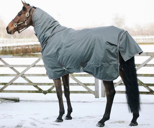 Kentucky Horsewear Turnout Rug All Weather Pro Pferdedecke wasserdicht 160g – Bild 1 von 3