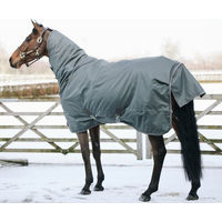 Produktbild von Kentucky Horsewear Turnout Rug All Weather Pro Pferdedecke wasserdicht 160g