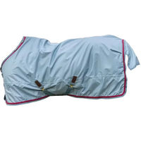 Produktbild von Kentucky Horsewear Turnout Rug All Weather Waterproof Pro 160g Pferdedecke aus Polyester