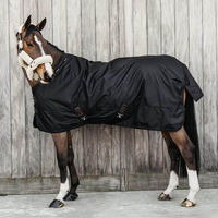 Produktbild von Kentucky Horsewear Turnout Rug All Weather Waterproof Pro 300g Pferdedecke Schwarz