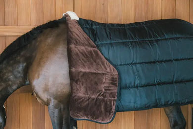 Kentucky Horsewear Turnout Rug Comfort Liner PRO Pferdedecke Schwarz 165 cm 100g – Bild 1 von 2