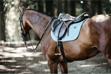 Kentucky Horsewear Velvet Springschabracke für Ponys in Grün Türkis – Bild 1 von 5