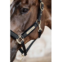 Produktbild von Kentucky Horsewear Velvet Stallhalfter für Warmblut in Schwarz