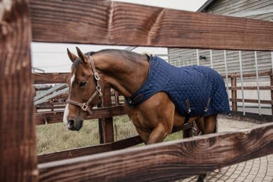 Kentucky Horsewear Walker Rug Führanlagendecke für Pferde Navy Blau 140 cm - 160 g – Bild 1 von 7