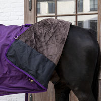 Produktbild von Kentucky Horsewear Weidedecke All Weather Pro für Pferde royal purple 130 cm