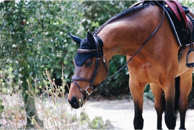 Kentucky Horsewear Wellington Fliegenhaube für Pferde Schwarz Größe M – Bild 1 von 6