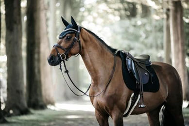 Kentucky Horsewear Wellington Fliegenhaube Stone & Pearl Blau für Pferde Vollblut – Bild 1 von 6