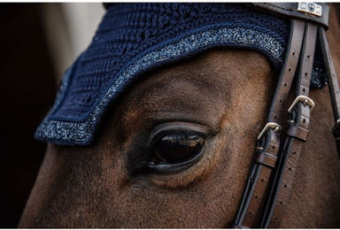 Kentucky Horsewear Wellington Glitter Stone Soundless Fliegenohren für Pferde Vollblut – Bild 1 von 2