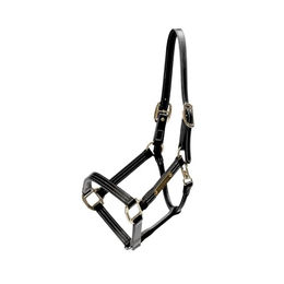 Kentucky Horsewear Wellington Lederhalfter für Warmblut in Schwarz und Gold – Bild 1 von 11