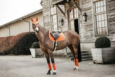 Kentucky Horsewear Wellington Velvet Fliegenhaube für Pferde in Orange – Bild 1 von 6