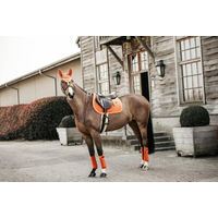Produktbild von Kentucky Horsewear Wellington Velvet Fliegenhaube für Pferde in Orange