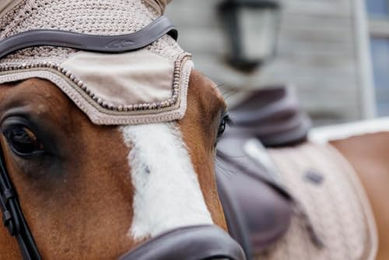Kentucky Horsewear Wellington Velvet Pearls Fliegenhaube für Pferde Beige Full – Bild 1 von 6