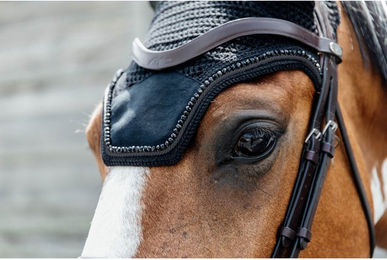 Kentucky Horsewear Wellington Velvet Pearls Fliegenhaube für Warmblut in Grün – Bild 1 von 7