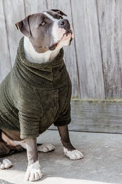 Kentucky Hundedecke Teddy Plüsch Grün Größe XL – Bild 1 von 2